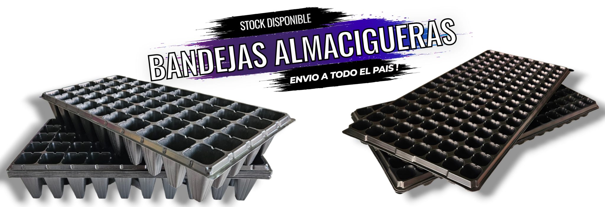 ALMACIGUERAS PORTADA